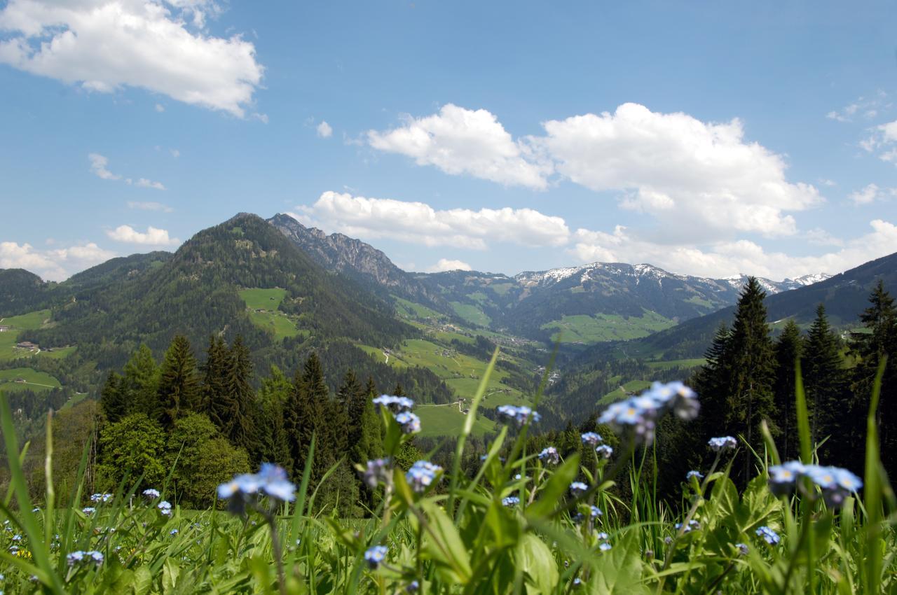 Bergchalet Rauchenhof Reith im Alpbachtal Exteriör bild